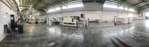 نوین گل عسل